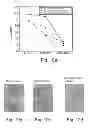 Fig. 09 - PROMOTERS EXHIBITING ENDOTHELIAL CELL SPECIFICITY AND METHODS OF USING SAME FOR REGULATION OF ANGIOGENESIS