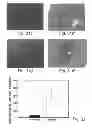 Fig. 22 - PROMOTERS EXHIBITING ENDOTHELIAL CELL SPECIFICITY AND METHODS OF USING SAME FOR REGULATION OF ANGIOGENESIS