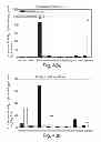 Fig. 33 - PROMOTERS EXHIBITING ENDOTHELIAL CELL SPECIFICITY AND METHODS OF USING SAME FOR REGULATION OF ANGIOGENESIS