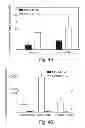 Fig. 35 - PROMOTERS EXHIBITING ENDOTHELIAL CELL SPECIFICITY AND METHODS OF USING SAME FOR REGULATION OF ANGIOGENESIS