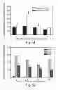 Fig. 40 - PROMOTERS EXHIBITING ENDOTHELIAL CELL SPECIFICITY AND METHODS OF USING SAME FOR REGULATION OF ANGIOGENESIS