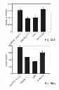 Fig. 43 - PROMOTERS EXHIBITING ENDOTHELIAL CELL SPECIFICITY AND METHODS OF USING SAME FOR REGULATION OF ANGIOGENESIS