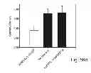 Fig. 46 - PROMOTERS EXHIBITING ENDOTHELIAL CELL SPECIFICITY AND METHODS OF USING SAME FOR REGULATION OF ANGIOGENESIS