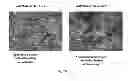 Fig. 67 - PROMOTERS EXHIBITING ENDOTHELIAL CELL SPECIFICITY AND METHODS OF USING SAME FOR REGULATION OF ANGIOGENESIS