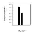 Fig. 69 - PROMOTERS EXHIBITING ENDOTHELIAL CELL SPECIFICITY AND METHODS OF USING SAME FOR REGULATION OF ANGIOGENESIS