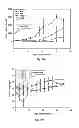 Fig. 71 - PROMOTERS EXHIBITING ENDOTHELIAL CELL SPECIFICITY AND METHODS OF USING SAME FOR REGULATION OF ANGIOGENESIS