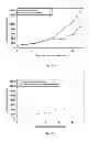 Fig. 75 - PROMOTERS EXHIBITING ENDOTHELIAL CELL SPECIFICITY AND METHODS OF USING SAME FOR REGULATION OF ANGIOGENESIS