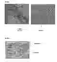 Fig. 77 - PROMOTERS EXHIBITING ENDOTHELIAL CELL SPECIFICITY AND METHODS OF USING SAME FOR REGULATION OF ANGIOGENESIS