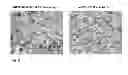 Fig. 79 - PROMOTERS EXHIBITING ENDOTHELIAL CELL SPECIFICITY AND METHODS OF USING SAME FOR REGULATION OF ANGIOGENESIS