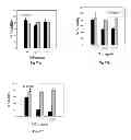 Fig. 85 - PROMOTERS EXHIBITING ENDOTHELIAL CELL SPECIFICITY AND METHODS OF USING SAME FOR REGULATION OF ANGIOGENESIS