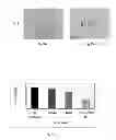 Fig. 87 - PROMOTERS EXHIBITING ENDOTHELIAL CELL SPECIFICITY AND METHODS OF USING SAME FOR REGULATION OF ANGIOGENESIS