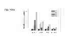 Fig. 99 - PROMOTERS EXHIBITING ENDOTHELIAL CELL SPECIFICITY AND METHODS OF USING SAME FOR REGULATION OF ANGIOGENESIS