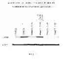 Fig. 02 - Substituted biaryl sulfonamides and the use thereof