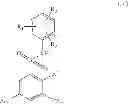Fig. 09 - Substituted biaryl sulfonamides and the use thereof