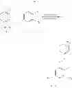 Fig. 19 - Substituted biaryl sulfonamides and the use thereof