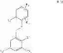Fig. 59 - Substituted biaryl sulfonamides and the use thereof