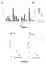 Fig. 02 - METHOD FOR CORRECTING A LIPID IMBALANCE IN A SUBJECT
