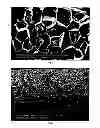 Fig. 02 - PROCESS FOR PHYSICALLY FOAMING A MASTERBATCH