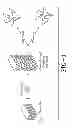 Fig. 02 - Tire with component comprised of rubber composition containing silica and graphene platelet reinforcement