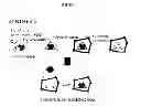 Fig. 02 - Molecularly imprinted polymers selective for tobacco specific nitrosamines and methods of using same