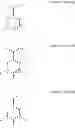 Fig. 09 - PROCESS OF BIOLOGICALLY PRODUCING TEREPHTHALIC ACID AND DERIVATIVE THEREOF