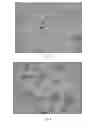 Fig. 03 - Method for preparing insulin glargine crystal