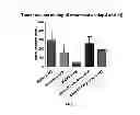 Fig. 08 - Self-assembly of therapeutic agent-peptide nanostructures