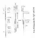 Fig. 06 - TRANSGENIC AVES PRODUCING HUMAN POLYCLONAL ANTIBODIES