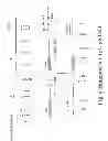 Fig. 07 - TRANSGENIC AVES PRODUCING HUMAN POLYCLONAL ANTIBODIES