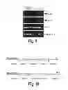 Fig. 10 - TRANSGENIC AVES PRODUCING HUMAN POLYCLONAL ANTIBODIES