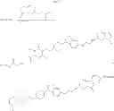 Fig. 71 - Haptens of risperidone and paliperidone