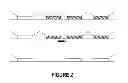 Fig. 03 - ANTISENSE OLIGONUCLEOTIDES FOR INDUCING EXON SKIPPING AND METHODS OF USE THEREOF