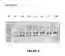 Fig. 07 - ANTISENSE OLIGONUCLEOTIDES FOR INDUCING EXON SKIPPING AND METHODS OF USE THEREOF