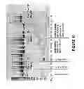 Fig. 11 - ANTISENSE OLIGONUCLEOTIDES FOR INDUCING EXON SKIPPING AND METHODS OF USE THEREOF