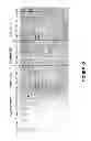 Fig. 13 - ANTISENSE OLIGONUCLEOTIDES FOR INDUCING EXON SKIPPING AND METHODS OF USE THEREOF