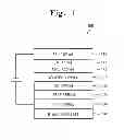 Fig. 02 - ARYLAMINE COMPOUND AND ELECTROLUMINESCENCE DEVICE INCLUDING THE SAME