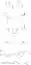 Fig. 14 - Cysteinyl leukotriene antagonists