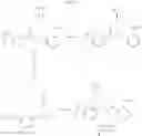 Fig. 28 - Cysteinyl leukotriene antagonists