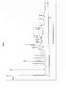 Fig. 06 - Salts of raltegravir