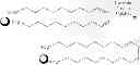 Fig. 08 - Surface Functionalised Nanoparticles