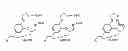 Fig. 01 - SELENIUM ATTACHMENT AGENT