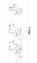 Fig. 02 - SELENIUM ATTACHMENT AGENT