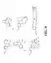Fig. 09 - SELENIUM ATTACHMENT AGENT