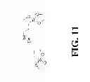 Fig. 12 - SELENIUM ATTACHMENT AGENT