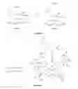 Fig. 05 - Dirhodium catalyst compositions and synthetic processes related thereto