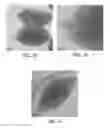 Fig. 04 - Adsorbent catalytic nanoparticles and methods of using the same