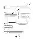 Fig. 03 - Angiogenesis initiation and growth