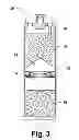 Fig. 04 - Angiogenesis initiation and growth