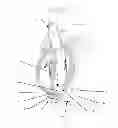 Fig. 01 - Cardiac pump