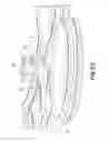 Fig. 20 - SPECULUM